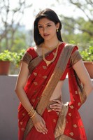 Tanvi Vyas Saree Photos
